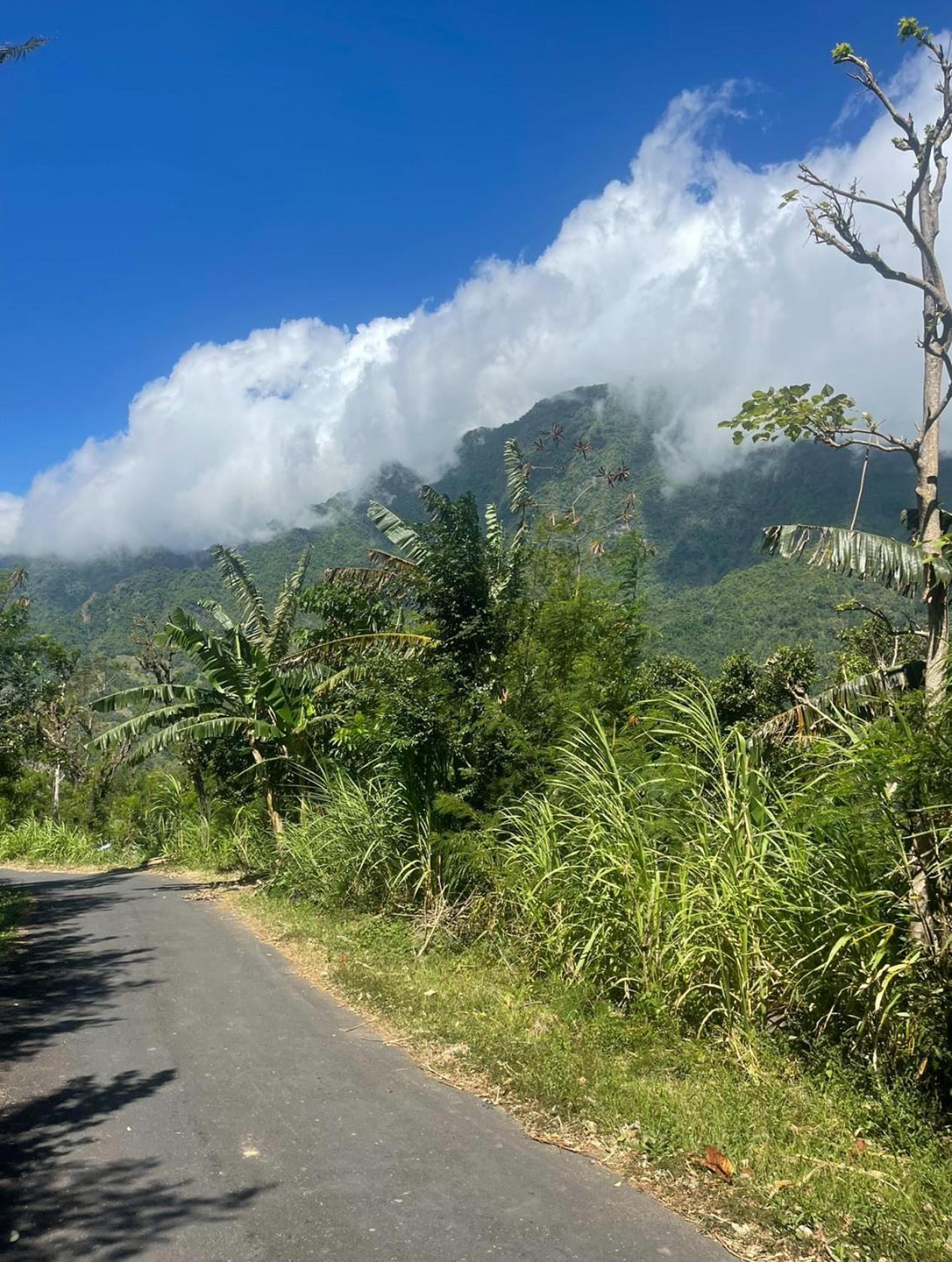 הוילה אמד Tropical Habitat Bali מראה חיצוני תמונה