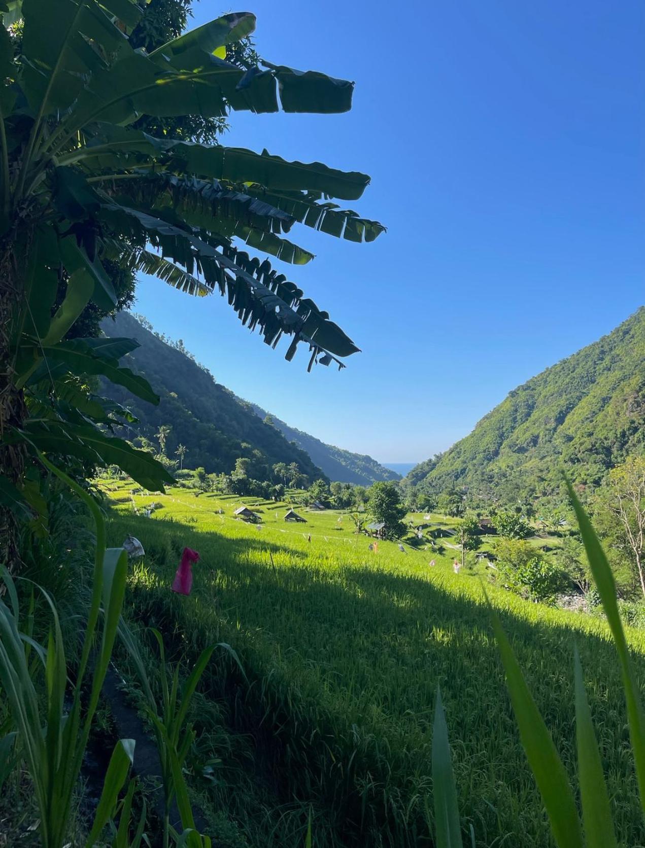 הוילה אמד Tropical Habitat Bali מראה חיצוני תמונה