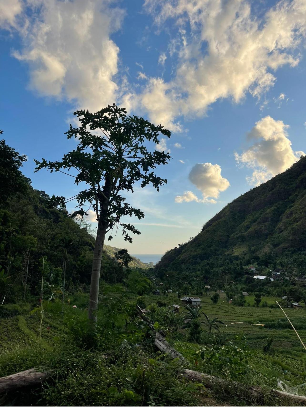 הוילה אמד Tropical Habitat Bali מראה חיצוני תמונה