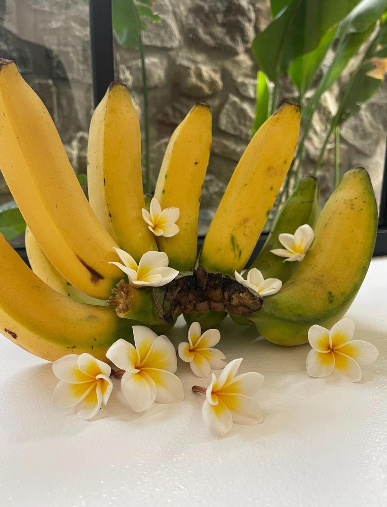 הוילה אמד Tropical Habitat Bali מראה חיצוני תמונה