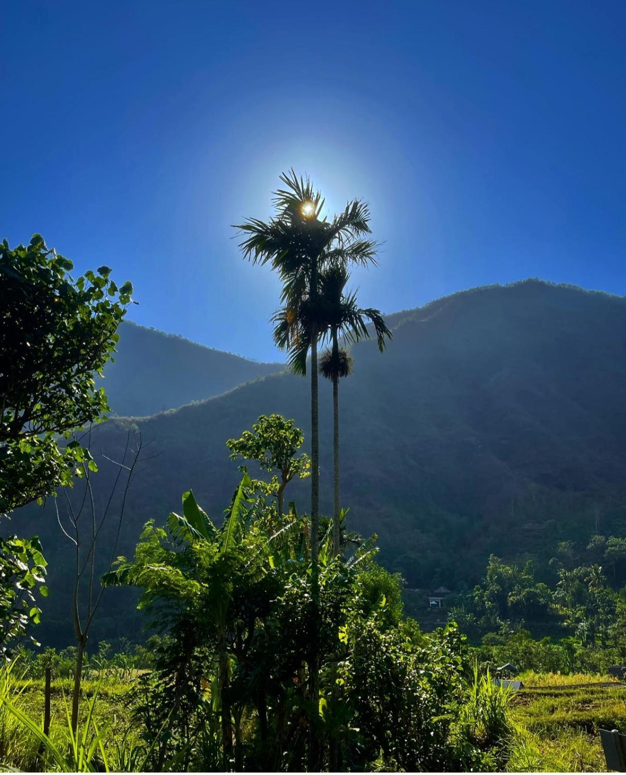 הוילה אמד Tropical Habitat Bali מראה חיצוני תמונה