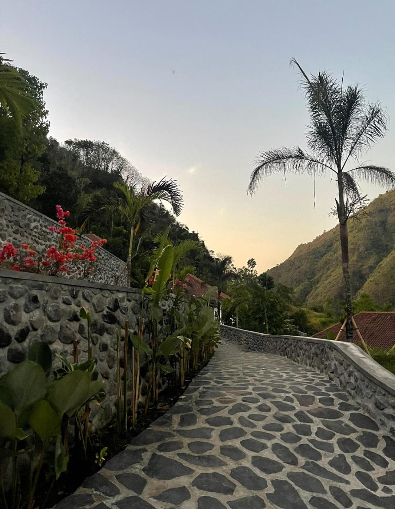 הוילה אמד Tropical Habitat Bali מראה חיצוני תמונה